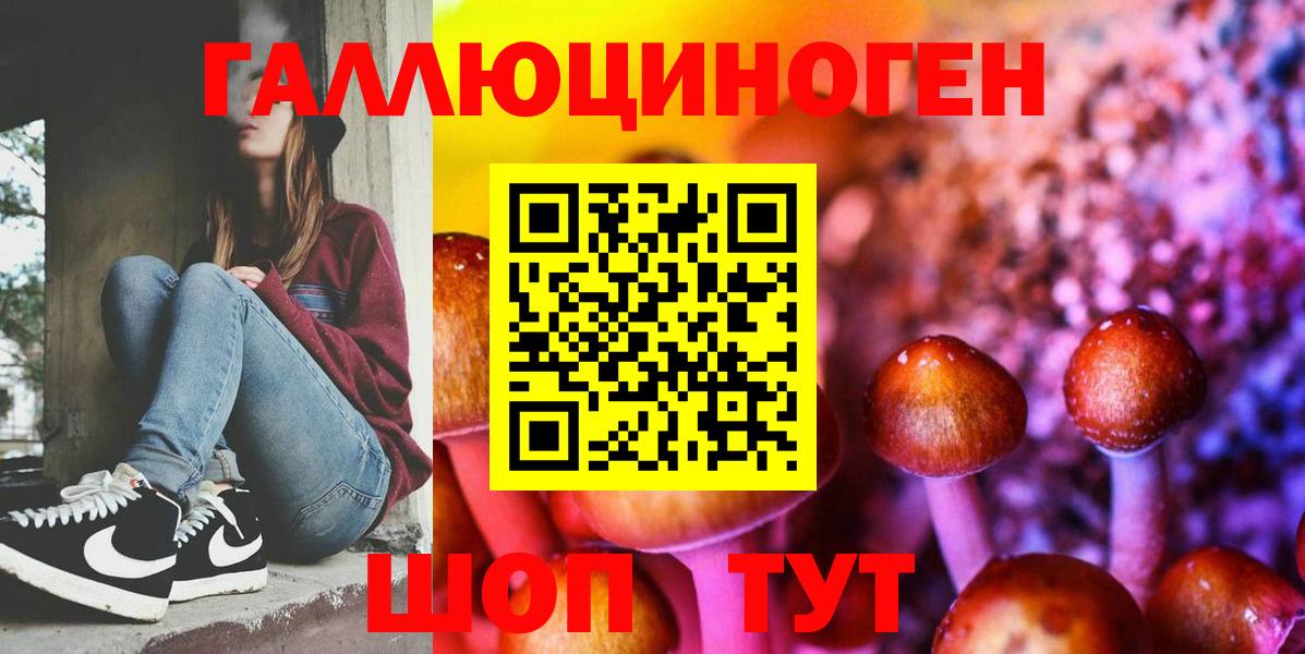 Галлюциногенные грибы Psilocybe Якутск